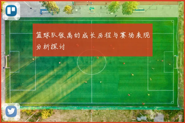 篮球队张禹的成长历程与赛场表现分析探讨
