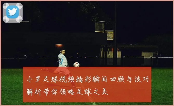 小罗足球视频精彩瞬间回顾与技巧解析带你领略足球之美